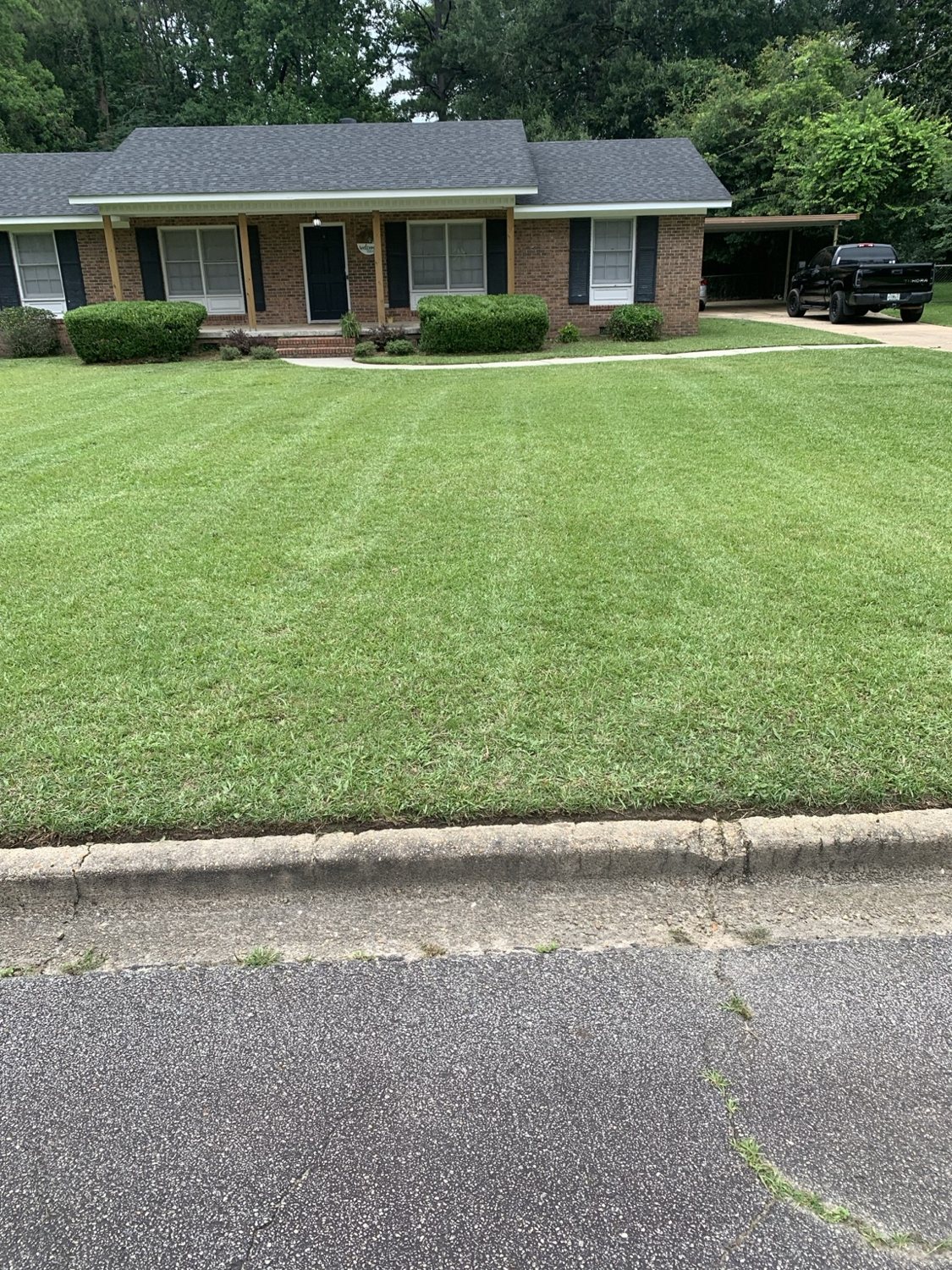 Striped Front Lawn